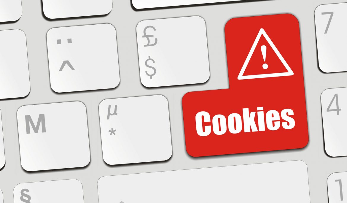 Cookies E TECNOLOGIAS SIMILARES